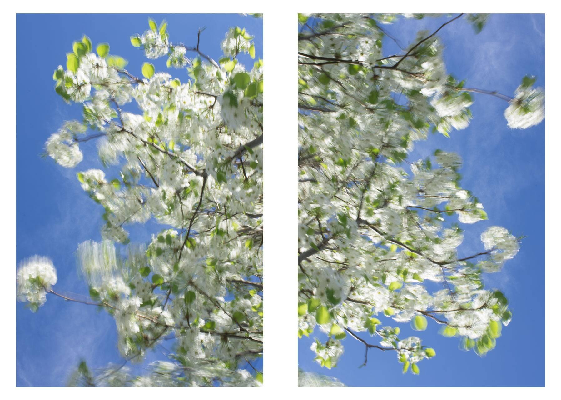 Edie Winograde Color Photograph - Clear air (green diptych #1)
