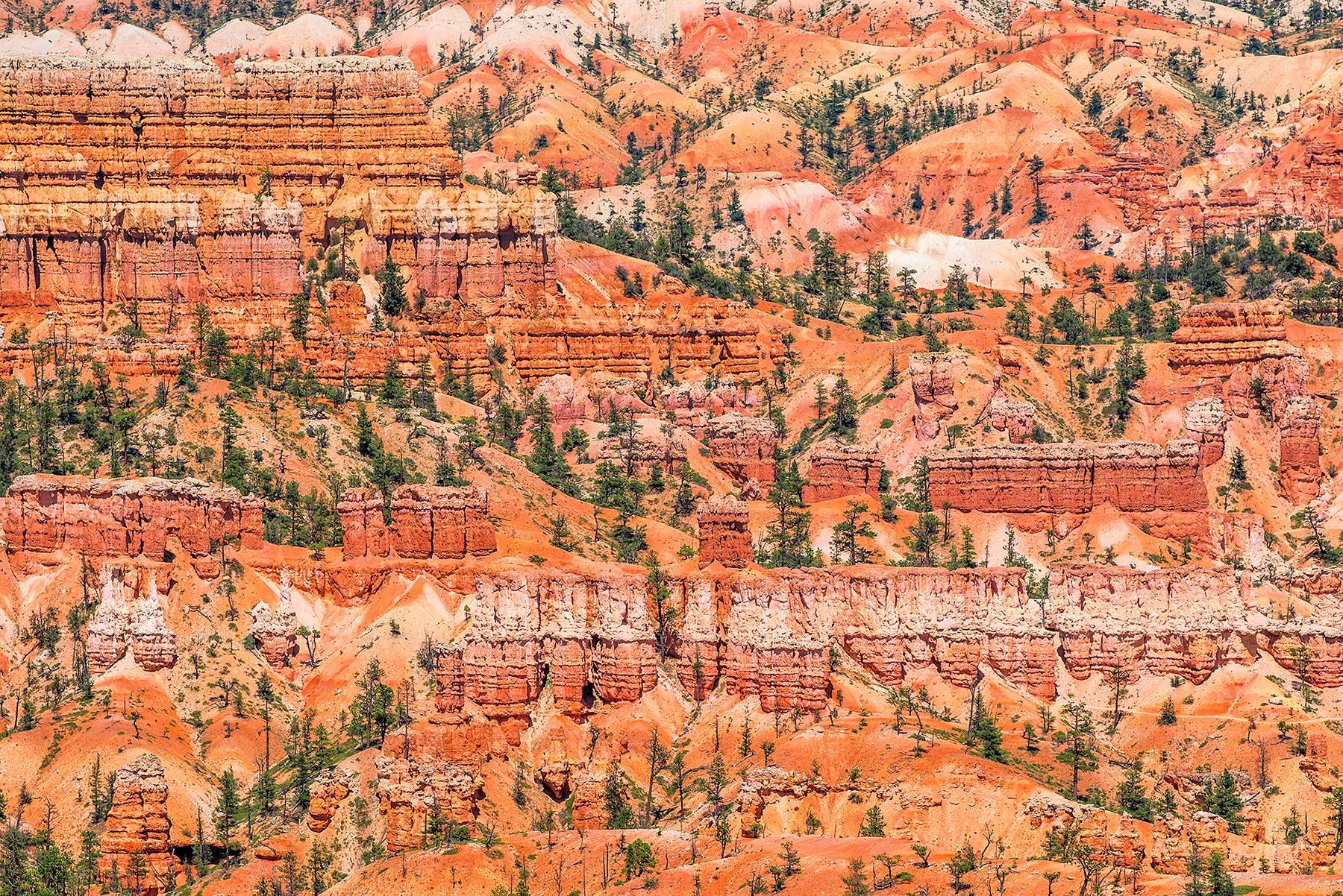 Zoe Wetherall Abstract Photograph - Bryce Canyon, dye sublimated print on aluminum 