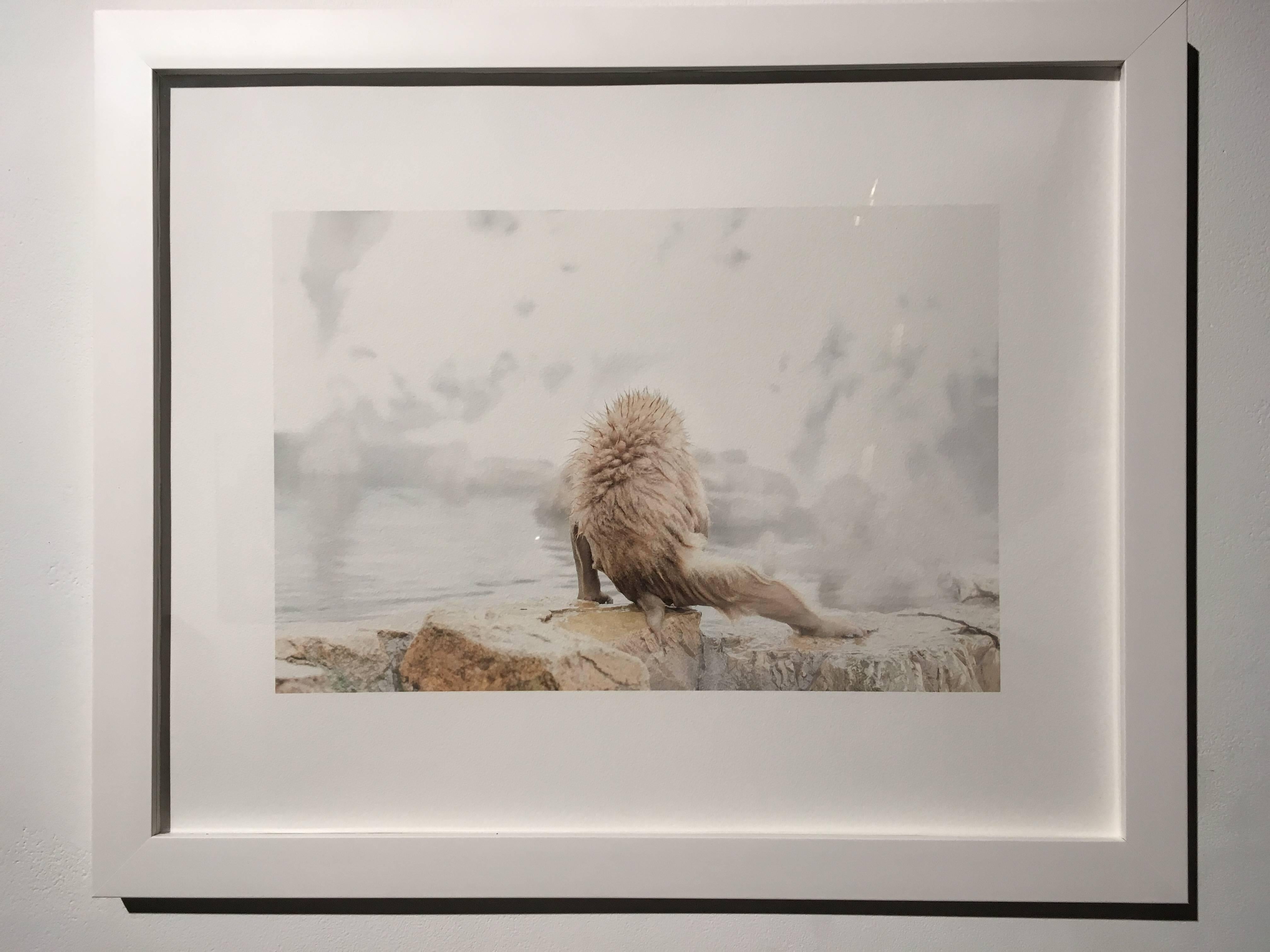 Winterschnee-Affen  – Photograph von Miho Suzuki