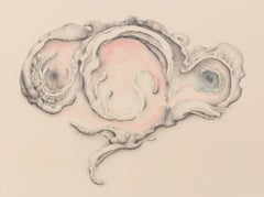 Dibujo conceptual: Plano de parcela nº 170516
