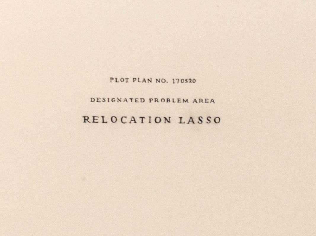Relocation Lasso - Art by Patricia Smith