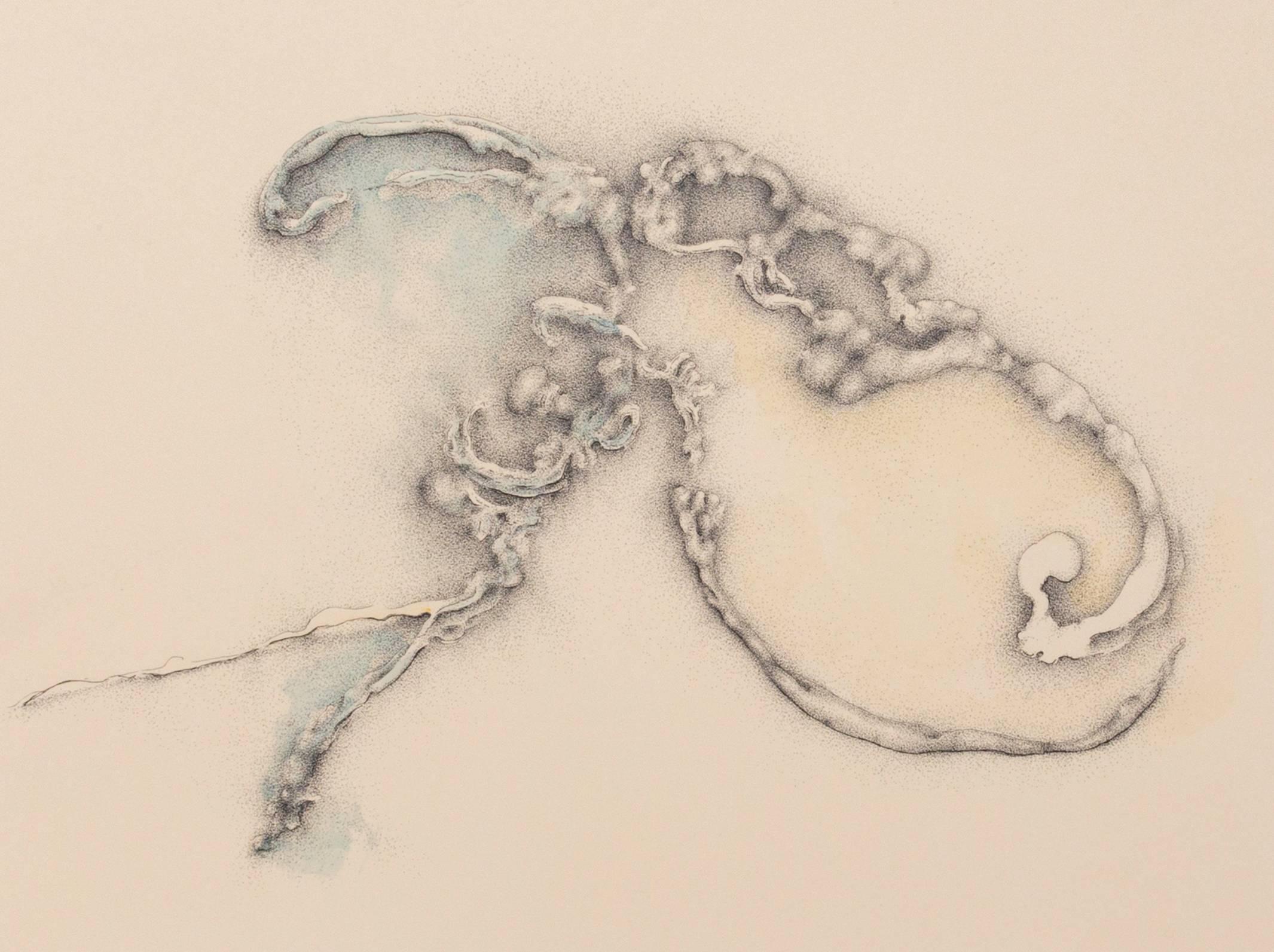 Estudio sobre la Desintegración del Hemisferio Izquierdo Versión Gerrymandered - Art Conceptual de Patricia Smith