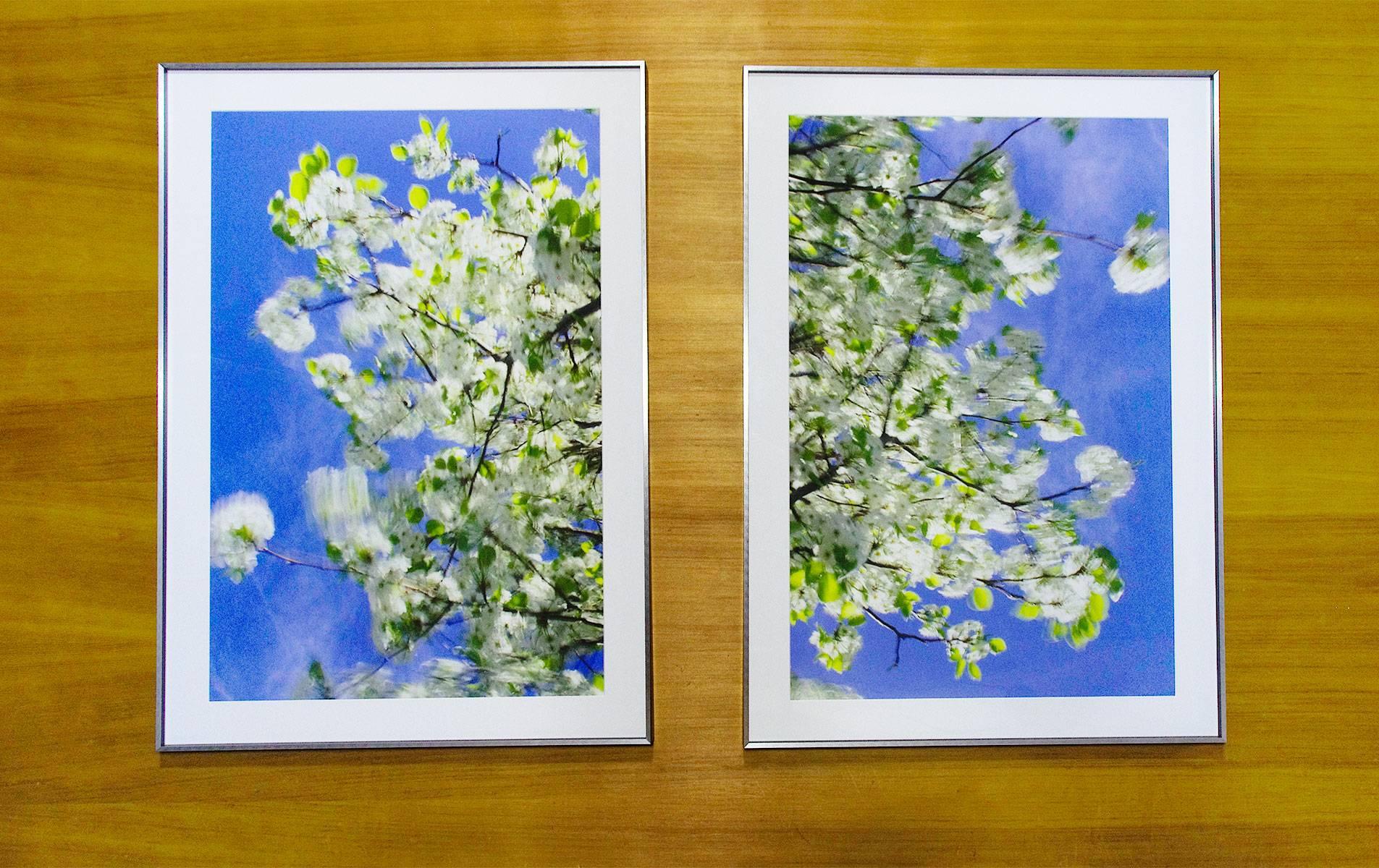 Clear air (green diptych #1) - Photograph by Edie Winograde
