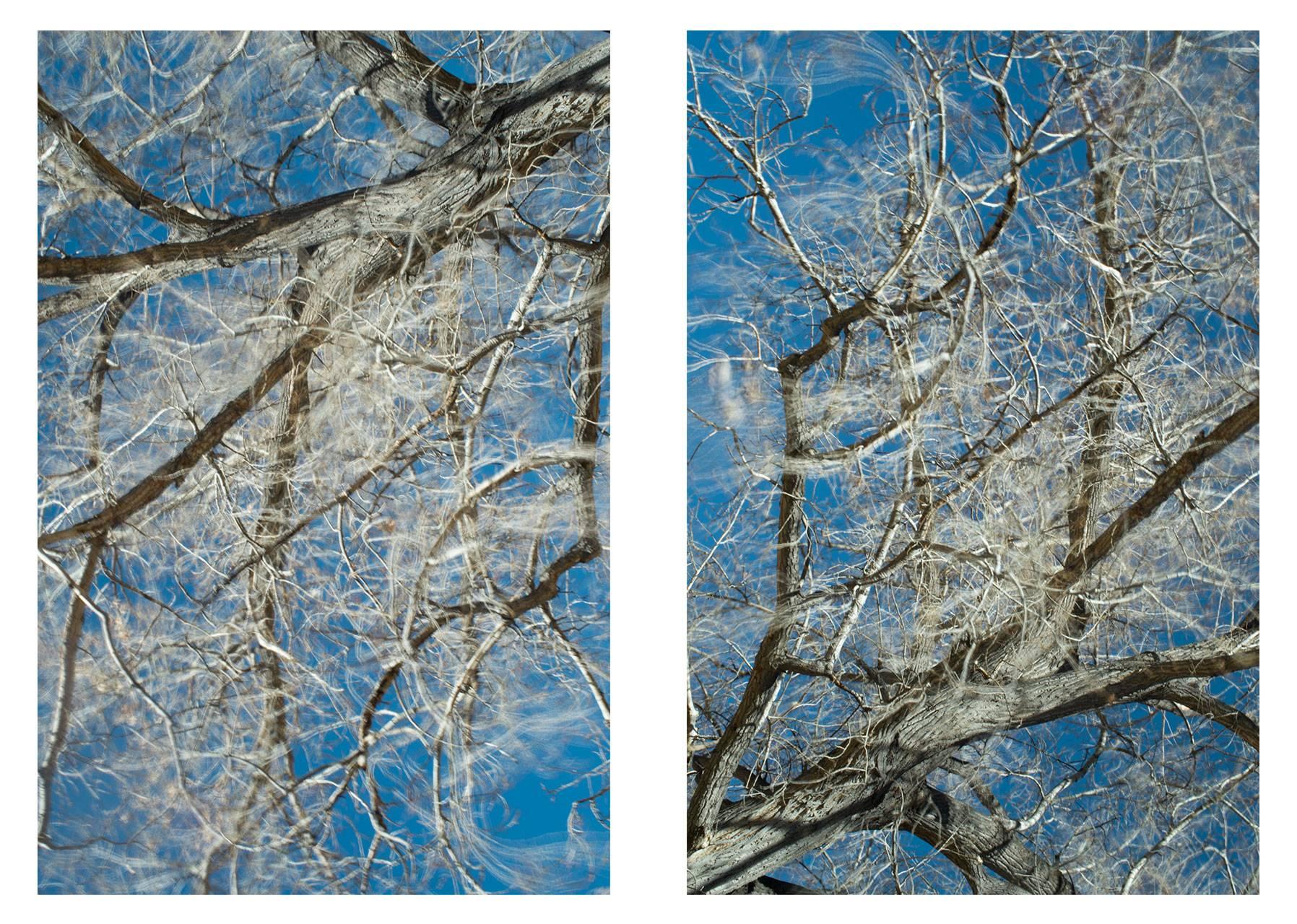 Clear air (gray/white diptych #1)