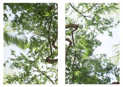 Clear air (white/green) diptych #1)