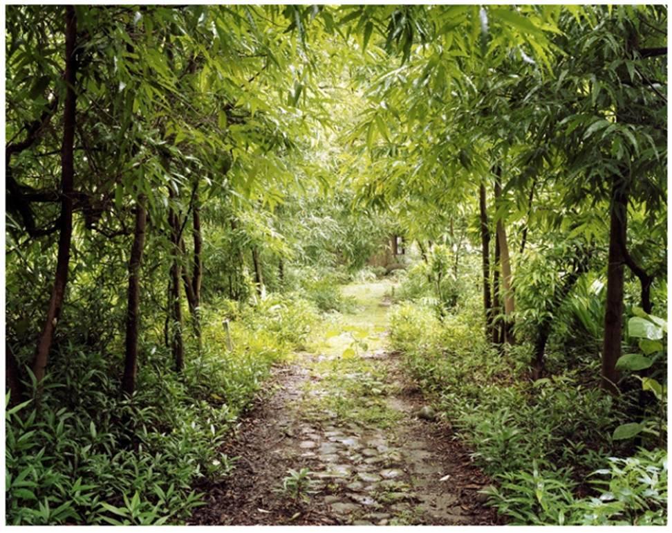 Beatles Path, 40"x50" limited edition photograph 
