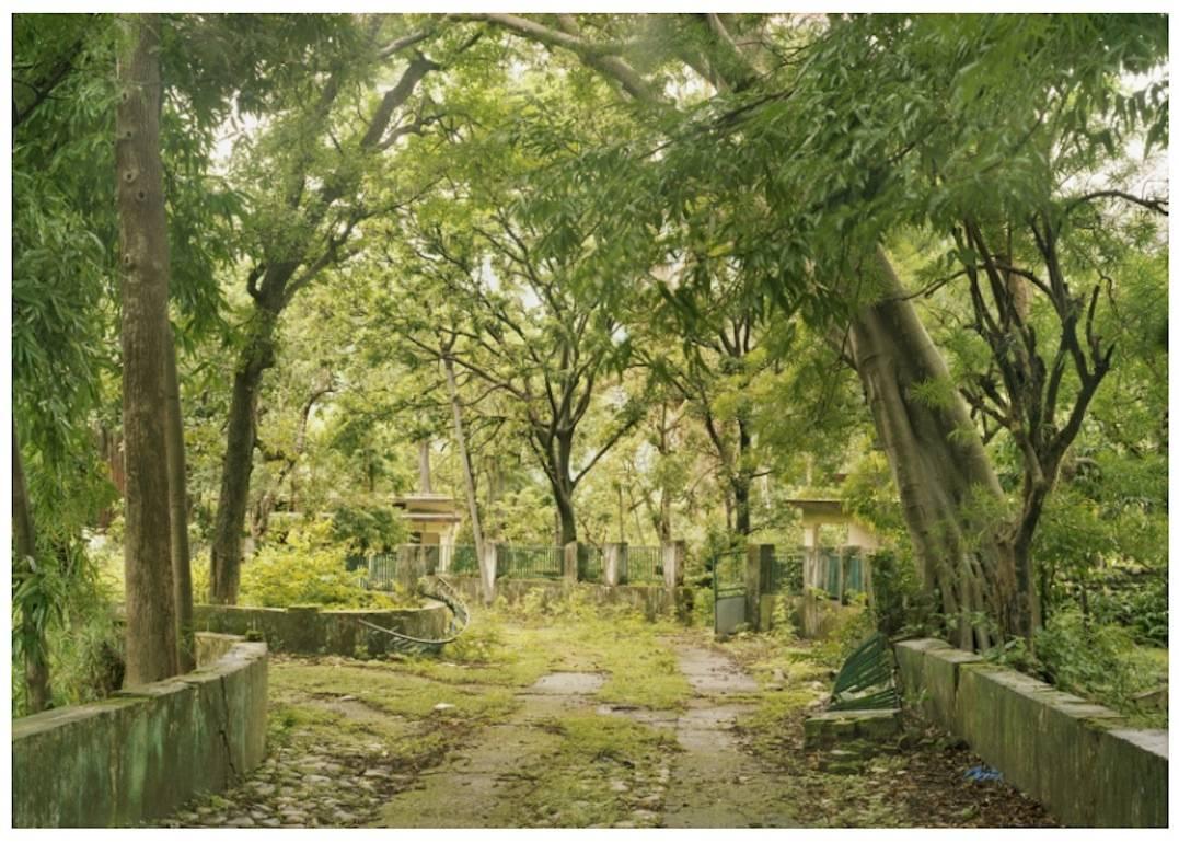 Sasha Bezzubov Color Photograph – Beatles Path, Rishikesh, Indien 40 Zoll x 50 Zoll