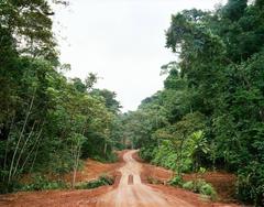 Logging Road With Bridge 12