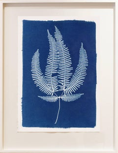 Sri Lankan Fern I, Cyanotype