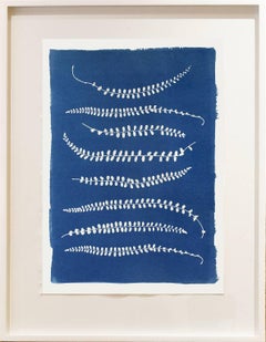 Ferns, Cyanotype