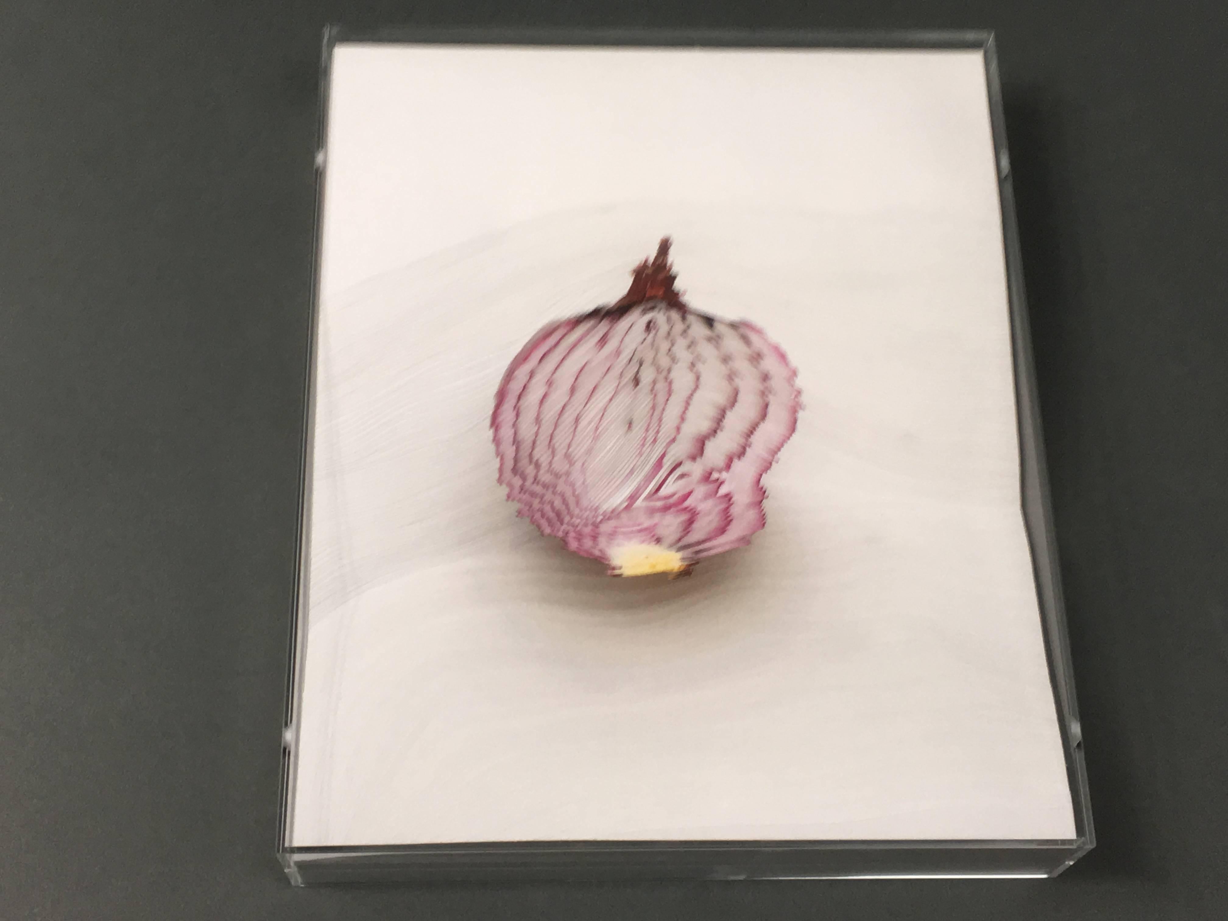 « Slicing the Onion n° 005 » Série 4 de 6 : sculpture murale gravée en 3D 1
