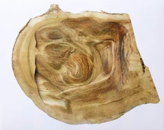 "Roadside tree_034": 3-D wall sculpture engraved in layers of photography