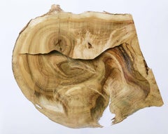 "Roadside tree_041": 3-D wall sculpture engraved in layers of photography 