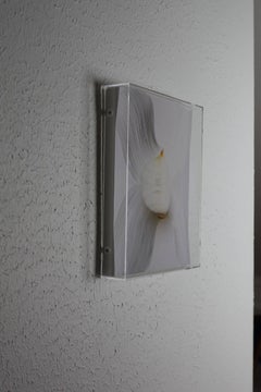 "Slicing the Onion No. 003" Series 3 of 7: 3-D engraved wall sculpture