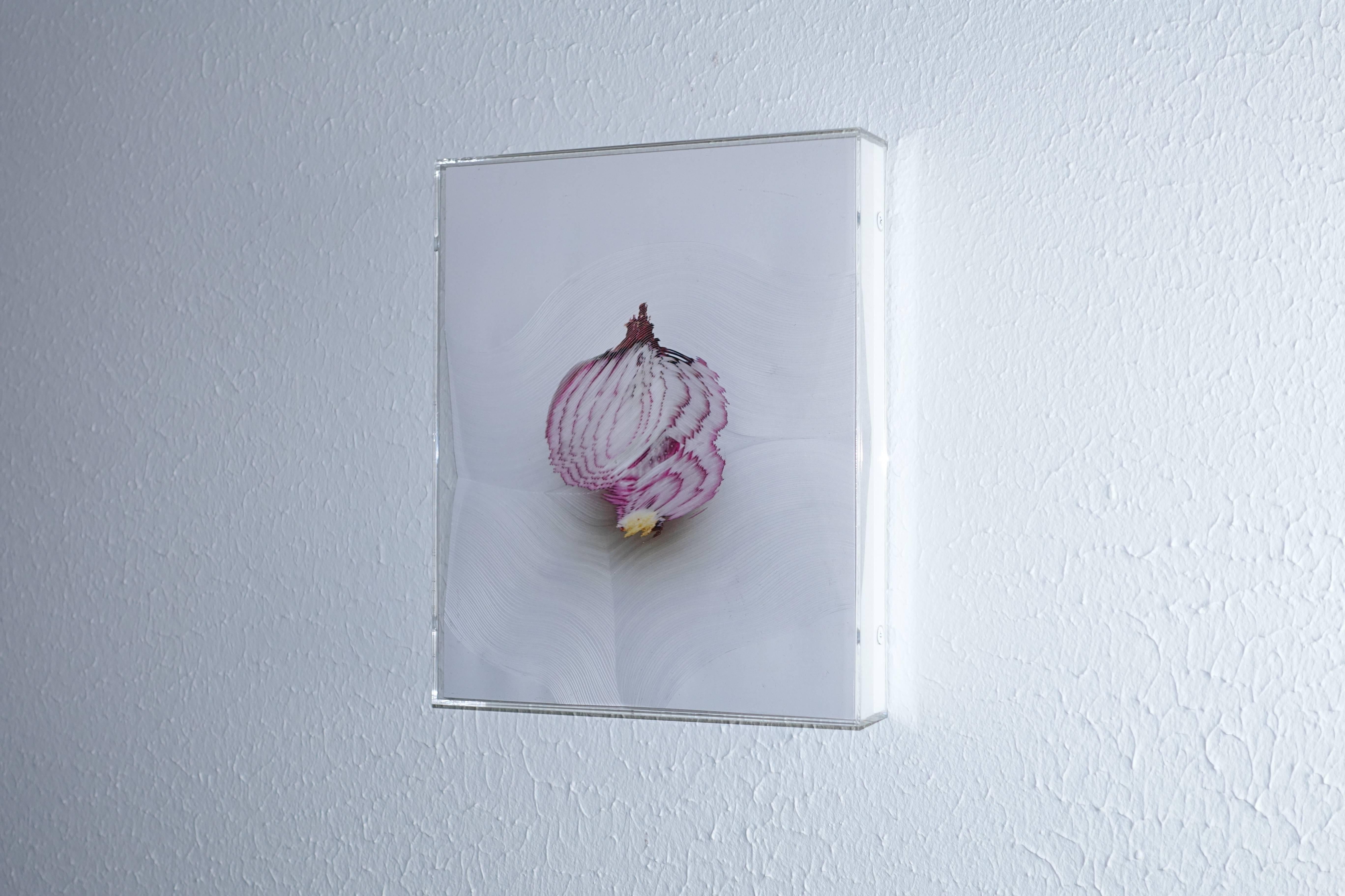 Nerhol Still-Life Sculpture - "Slicing the Onion No. 005" Series 1 of 6: 3-D engraved wall sculpture