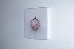 "Slicing the Onion No. 005" Series 1 of 6: 3-D engraved wall sculpture