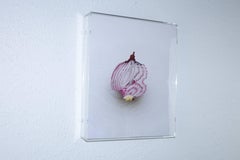 "Slicing the Onion No. 005" Series 1 of 6: 3-D engraved wall sculpture