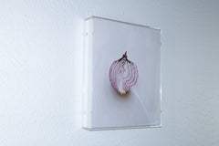 "Slicing the Onion No. 005" Series 2 of 6: 3-D engraved wall sculpture
