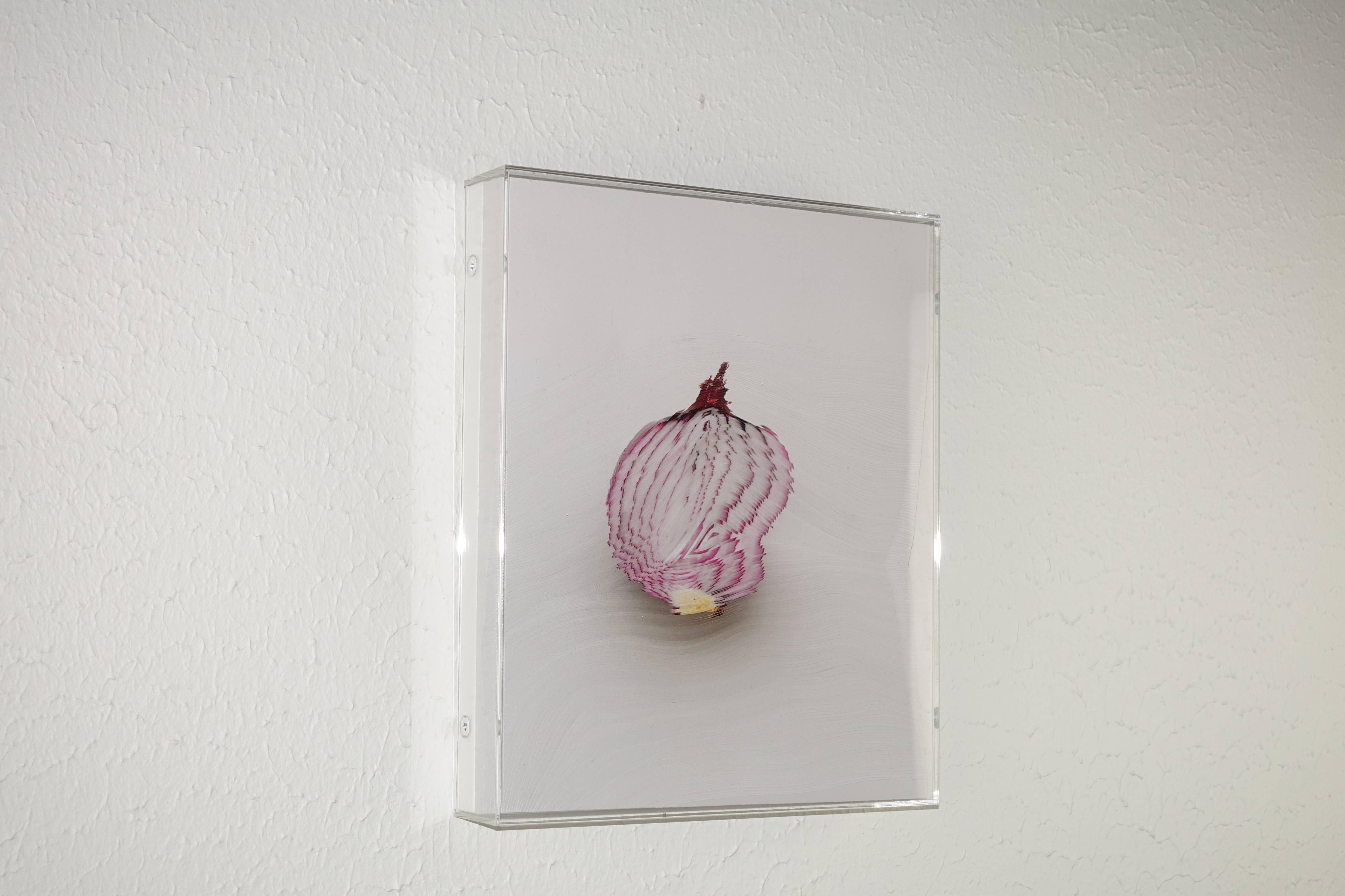 Still-Life Sculpture Nerhol - « Slicing the Onion n° 005 » Série 4 de 6 : sculpture murale gravée en 3D