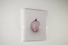 « Slicing the Onion n° 005 » Série 4 de 6 : sculpture murale gravée en 3D
