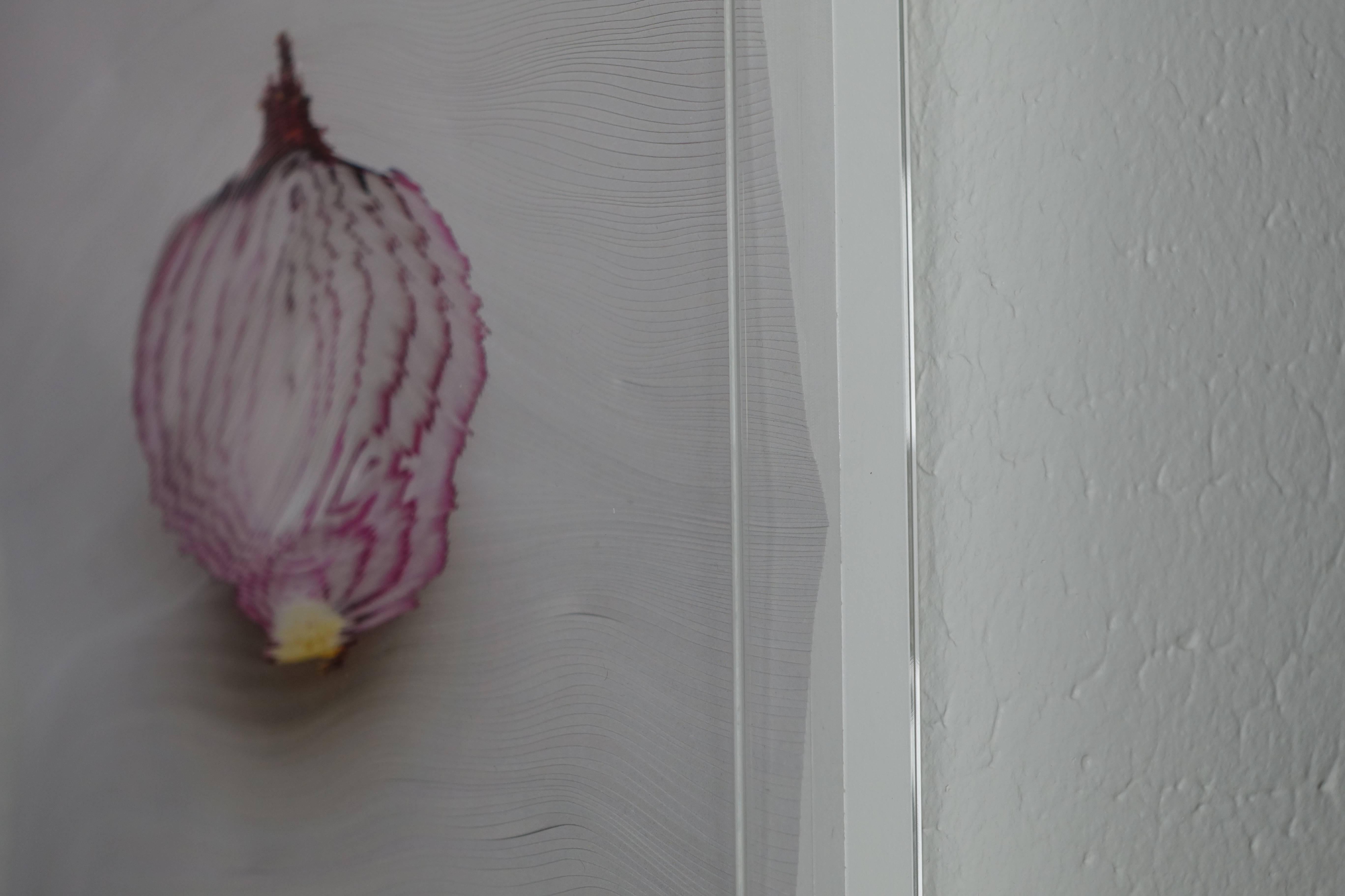 « Slicing the Onion n° 005 » Série 4 de 6 : sculpture murale gravée en 3D - Gris Still-Life Sculpture par Nerhol