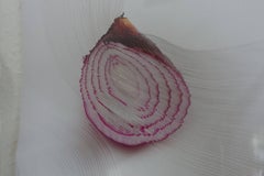 "Slicing the Onion No. 002" Series 6 of 6: 3-D engraved wall sculpture
