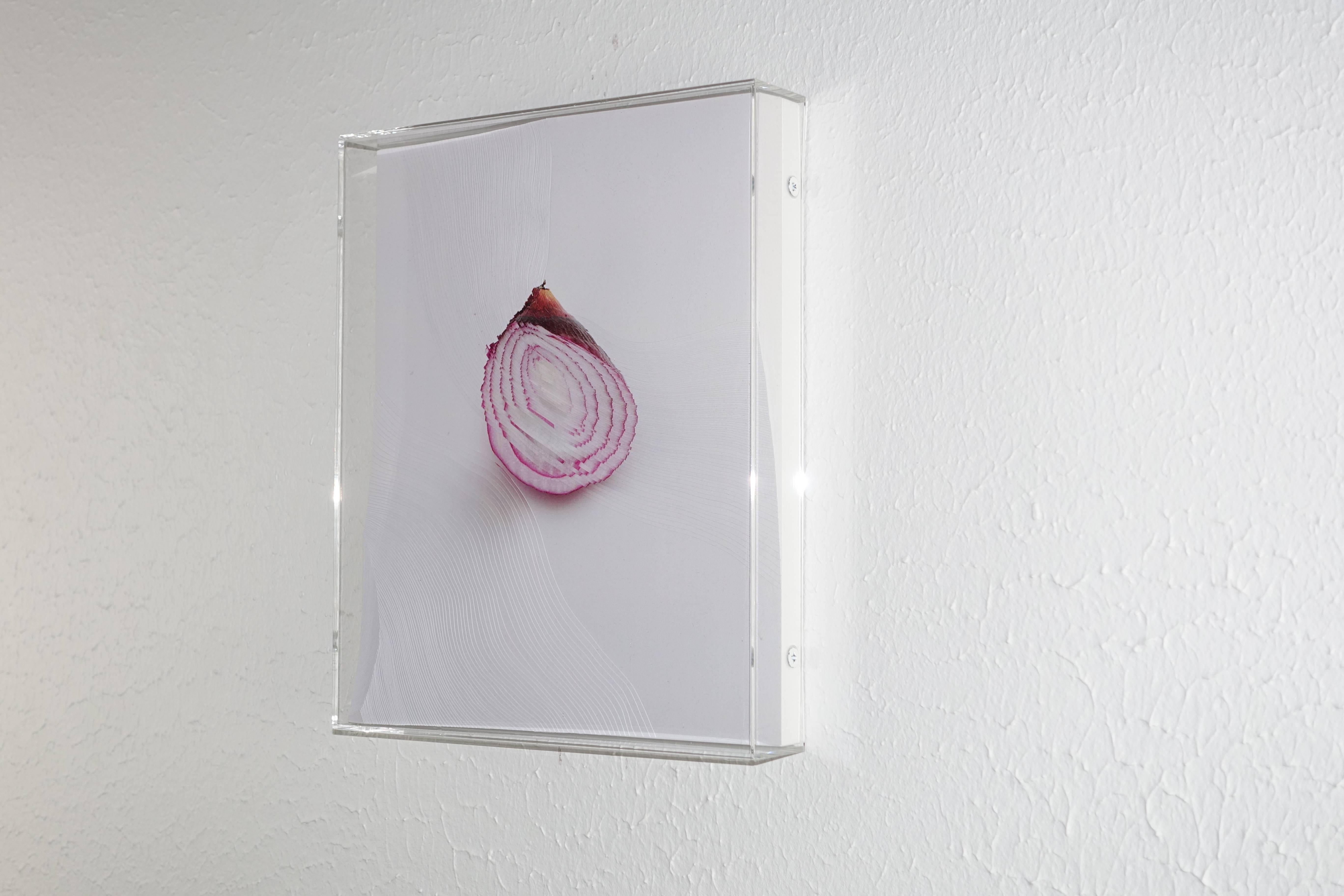 Nerhol Still-Life Sculpture - "Slicing the Onion No. 002" Series 6 of 6: 3-D engraved wall sculpture