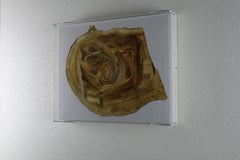 "Roadside tree_034": 3-D wall sculpture engraved in layers of photography
