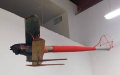 Cat Biplane