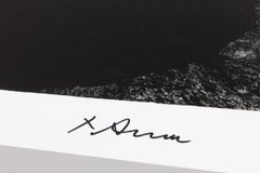 Richard Serra, „Out-of-Round X“ – Signierter Druck