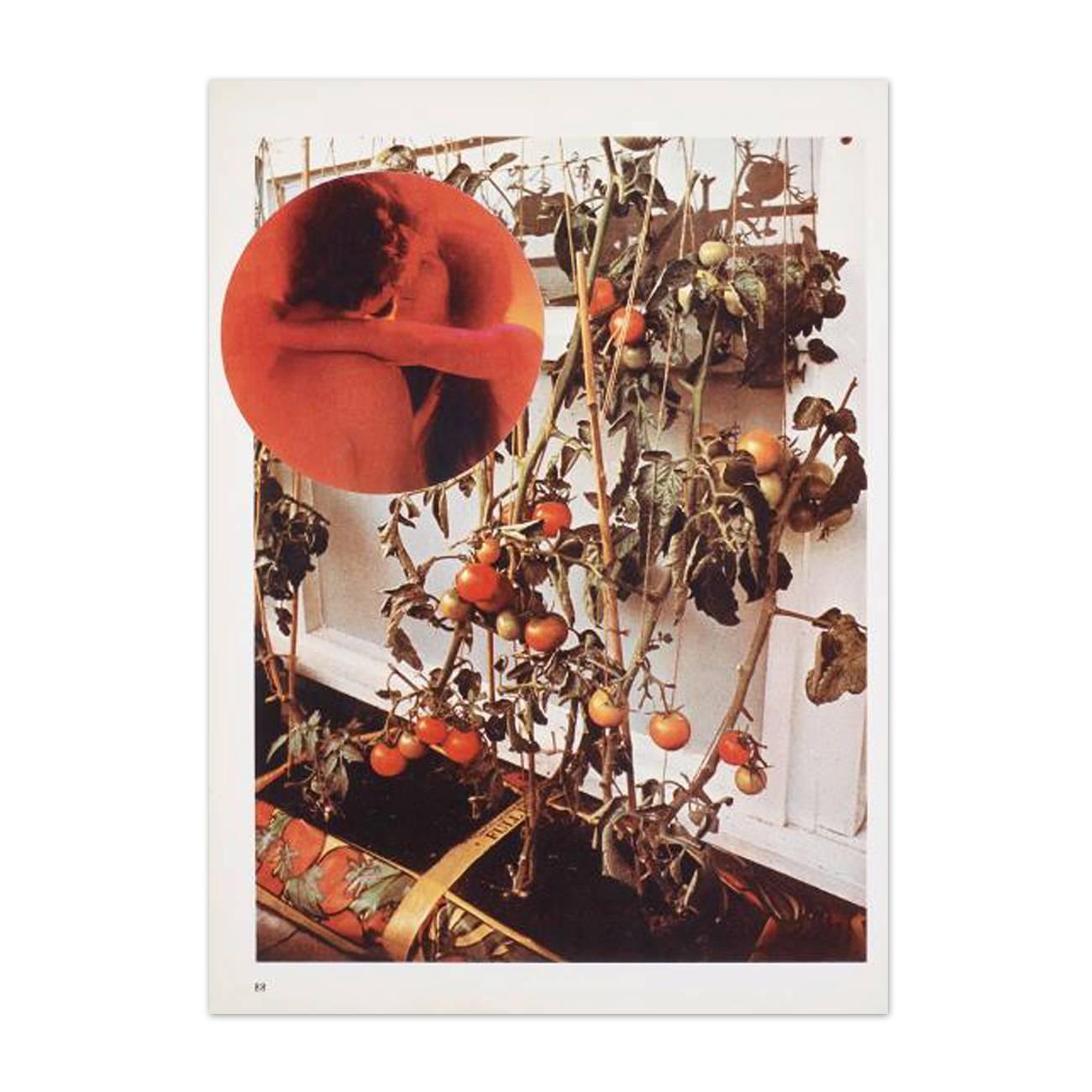 The Tomato Lovers - Contemporary Photograph by Wade Guyton