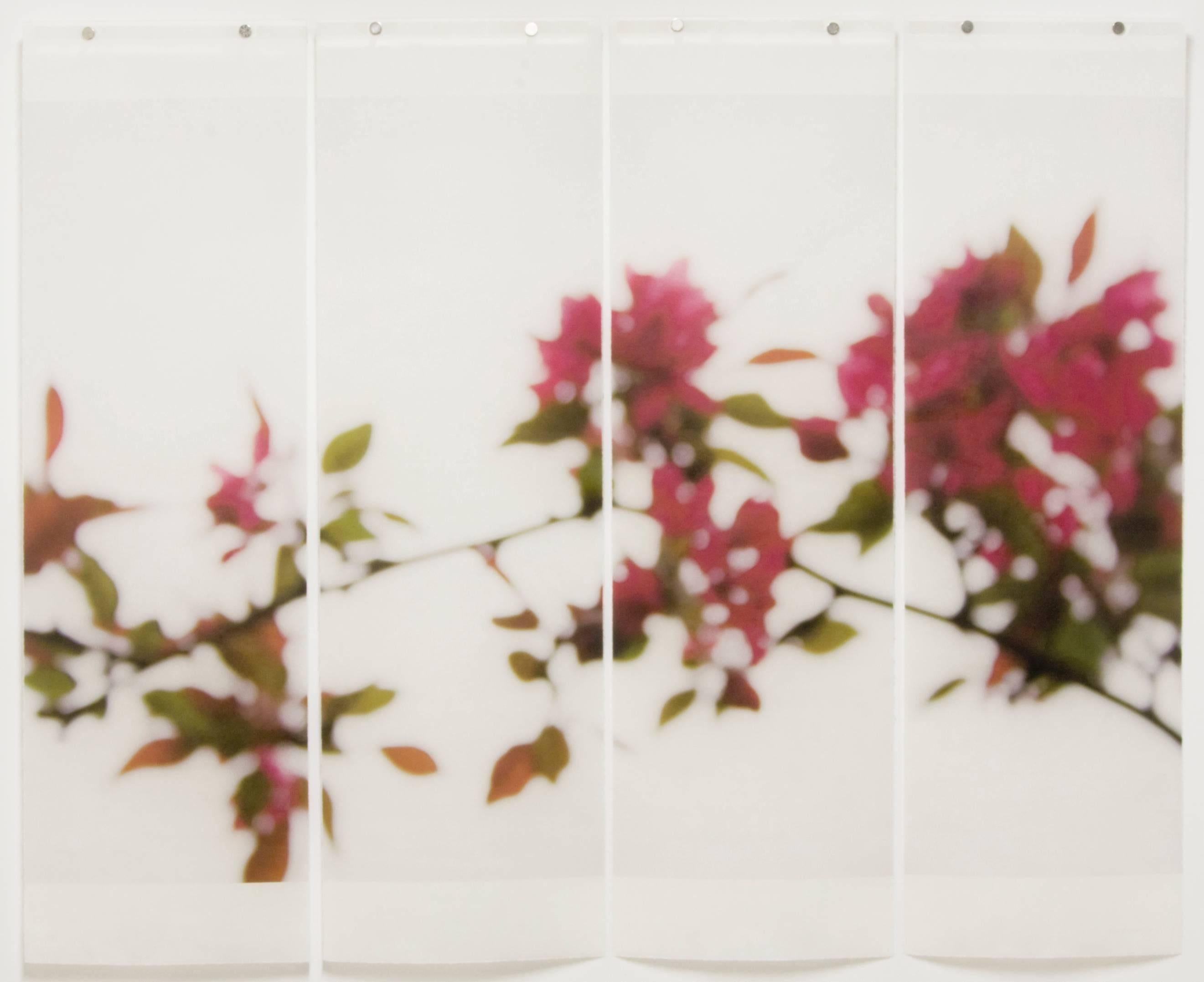 Jeri Eisenberg
Crabapple, 2008
archival pigment ink on Japanese paper infused with encaustic medium
36 x 46 in.
(quad)
6/12

This archival pigment printed on kozo paper features abstracted pink flowers on a trees branch against a white background.