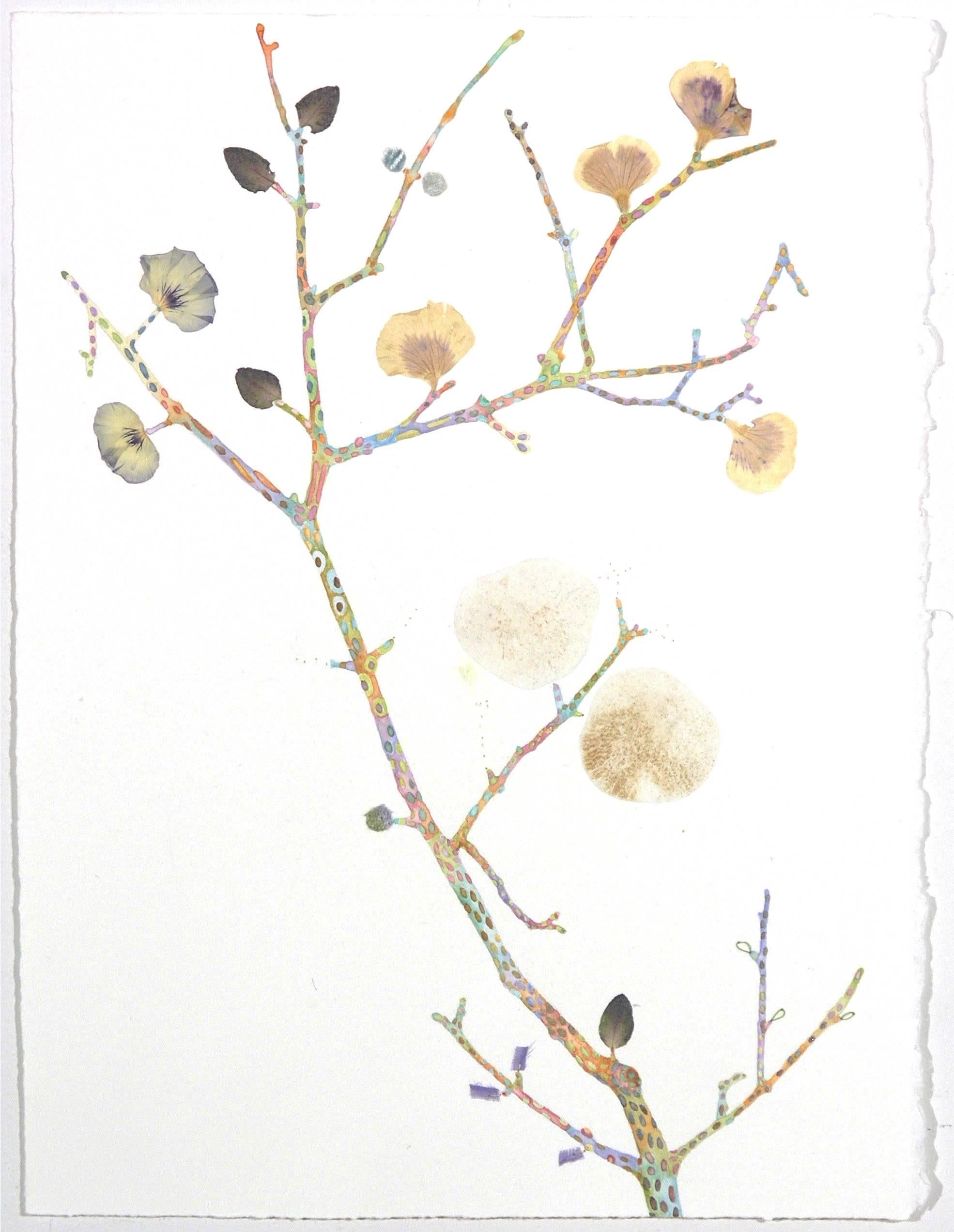 Marilla Palmer
Pattern and Petal, 2016
watercolor, pressed foliage, spores and velvet on Arches paper
15 x 11 in.

This original artwork by Marilla Palmer is a twist on the traditional Victoria botanical drawing, delicately painted with watercolor