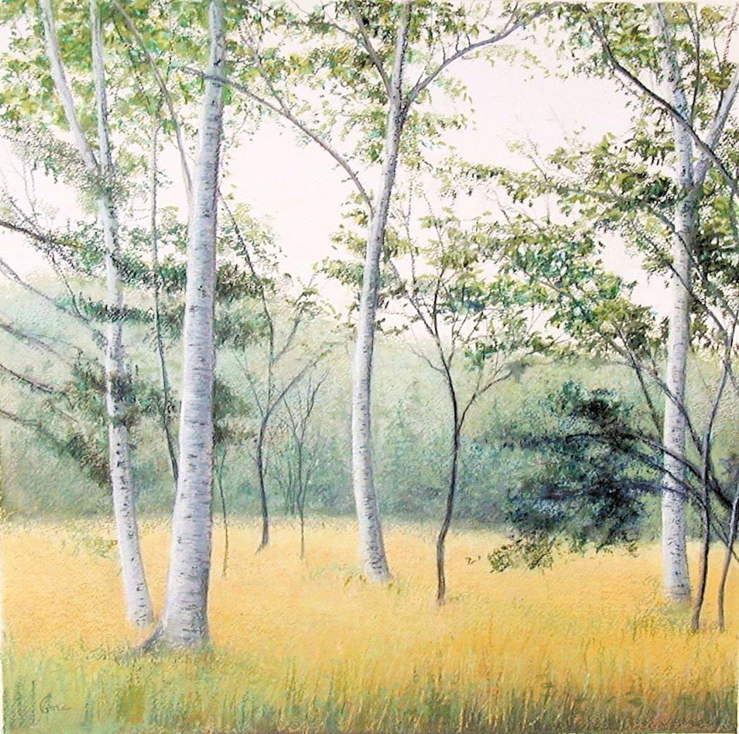 Elissa Gore
Birch Field 3, 2001
oil pastel and watercolor on paper
20 x 20 in.

This original oil pastel and watercolor painting on paper by Elissa Gore depicts a beautiful summer forest scene of white birch trees in a golden meadow

Elissa Gore has