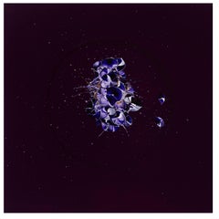 A friend who taught me Immortality, IV