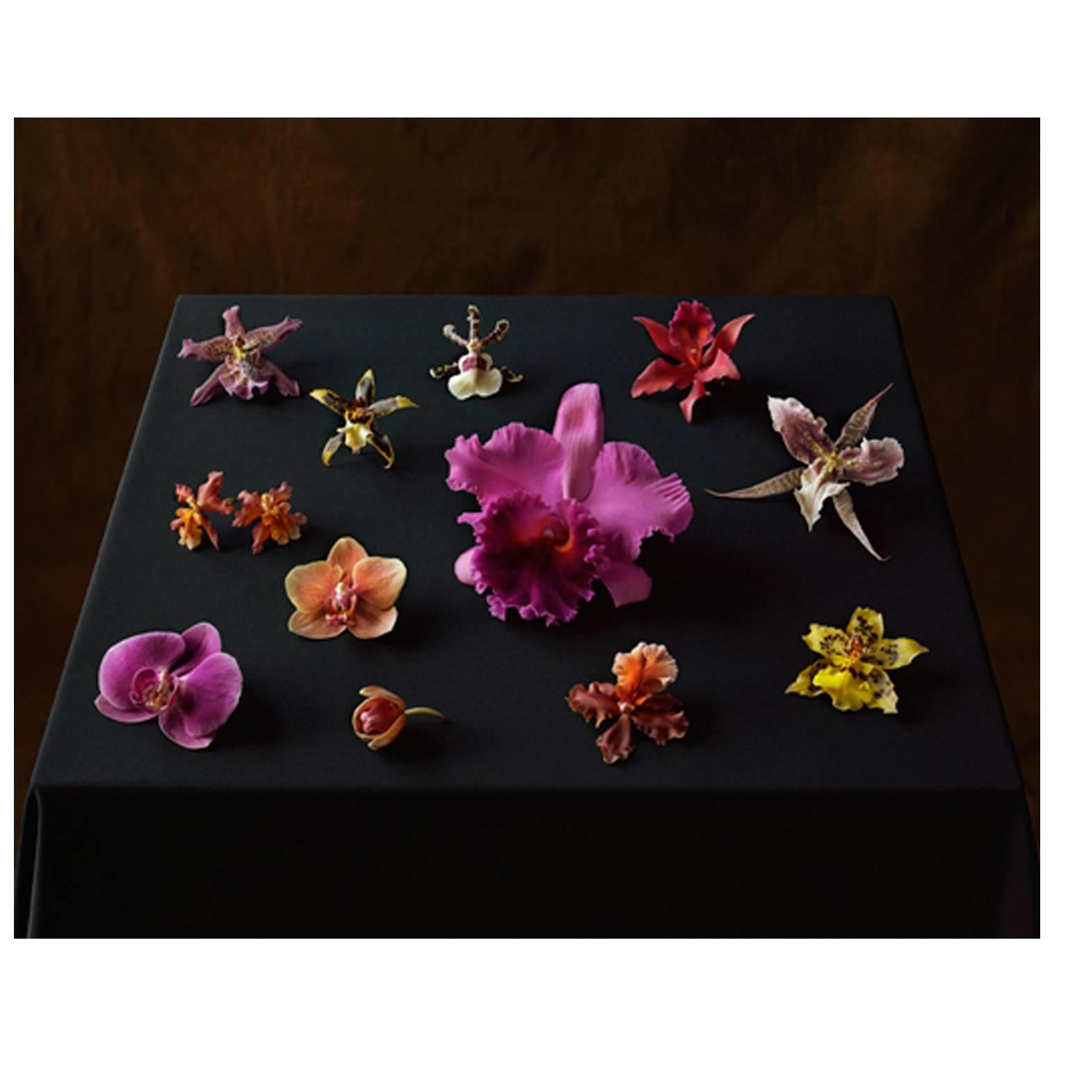 Tom Baril Color Photograph - Twelve Orchids 852