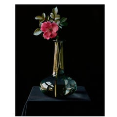 Single Rose in Vase