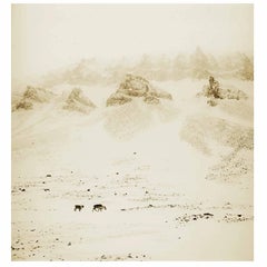Svalbard #10, Spring, Reindeer Bjorn Dalen Valley