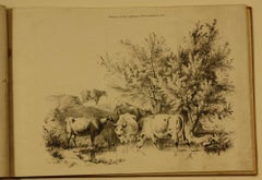 COOPER, Thomas Sidney  Groups of Cattle, Drawn from Nature Book 1839 London