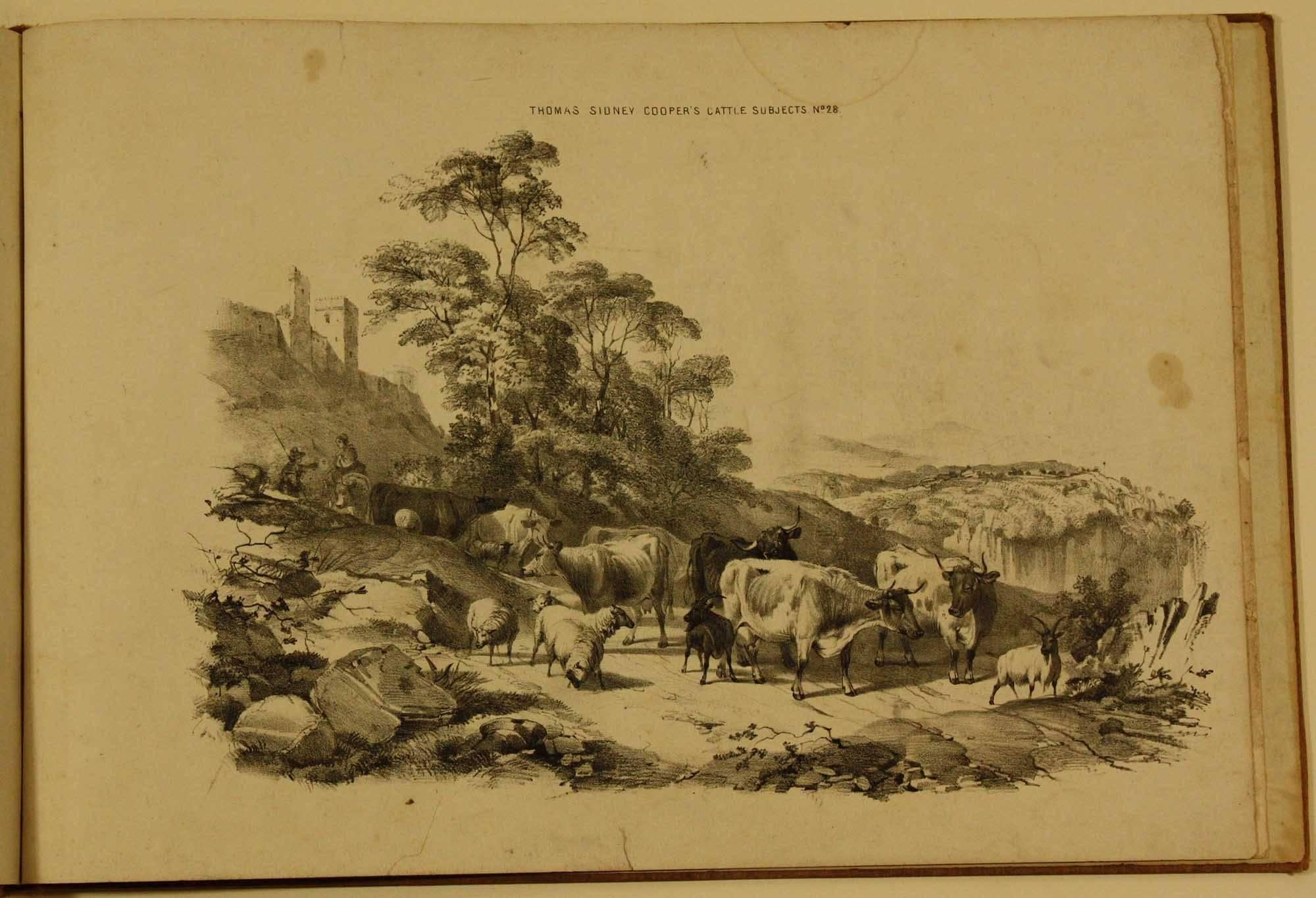 Thomas Sidney Cooper Animal Print - COOPER, Thomas Sidney  Groups of Cattle, Drawn from Nature Book 1839 London