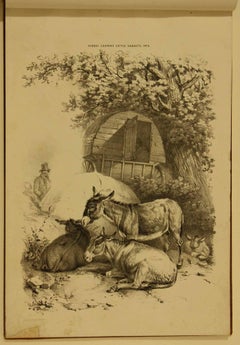 COOPER, Thomas Sidney  Groups of Cattle, Drawn from Nature Book 1839 London