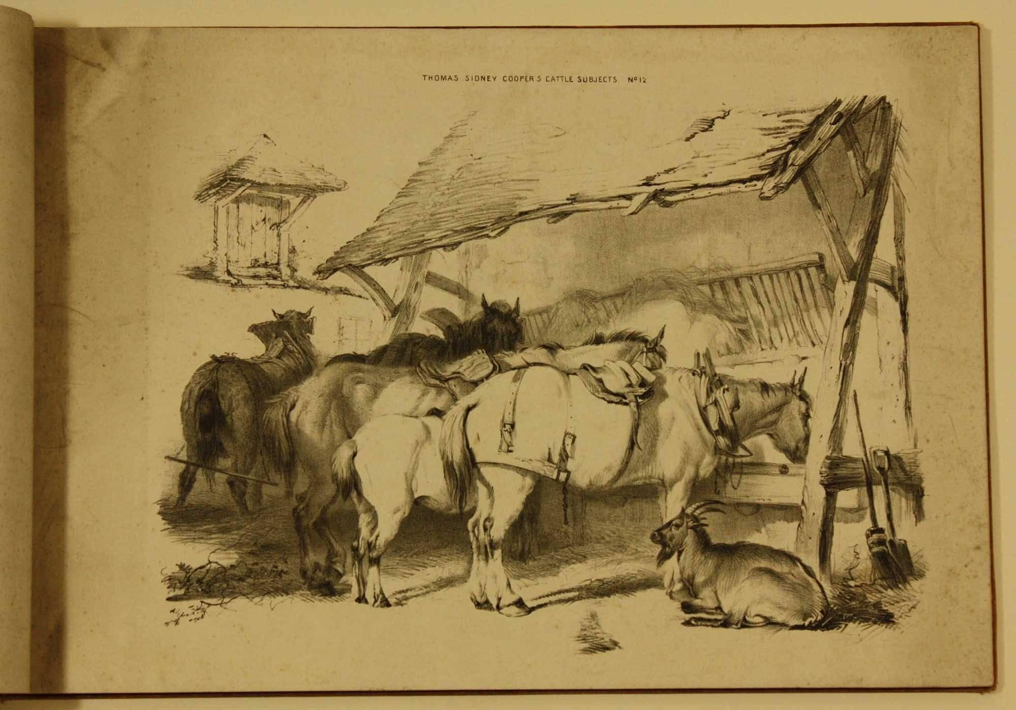 COOPER, Thomas Sidney  Groups of Cattle, Drawn from Nature Book 1839 London - Brown Animal Print by Thomas Sidney Cooper