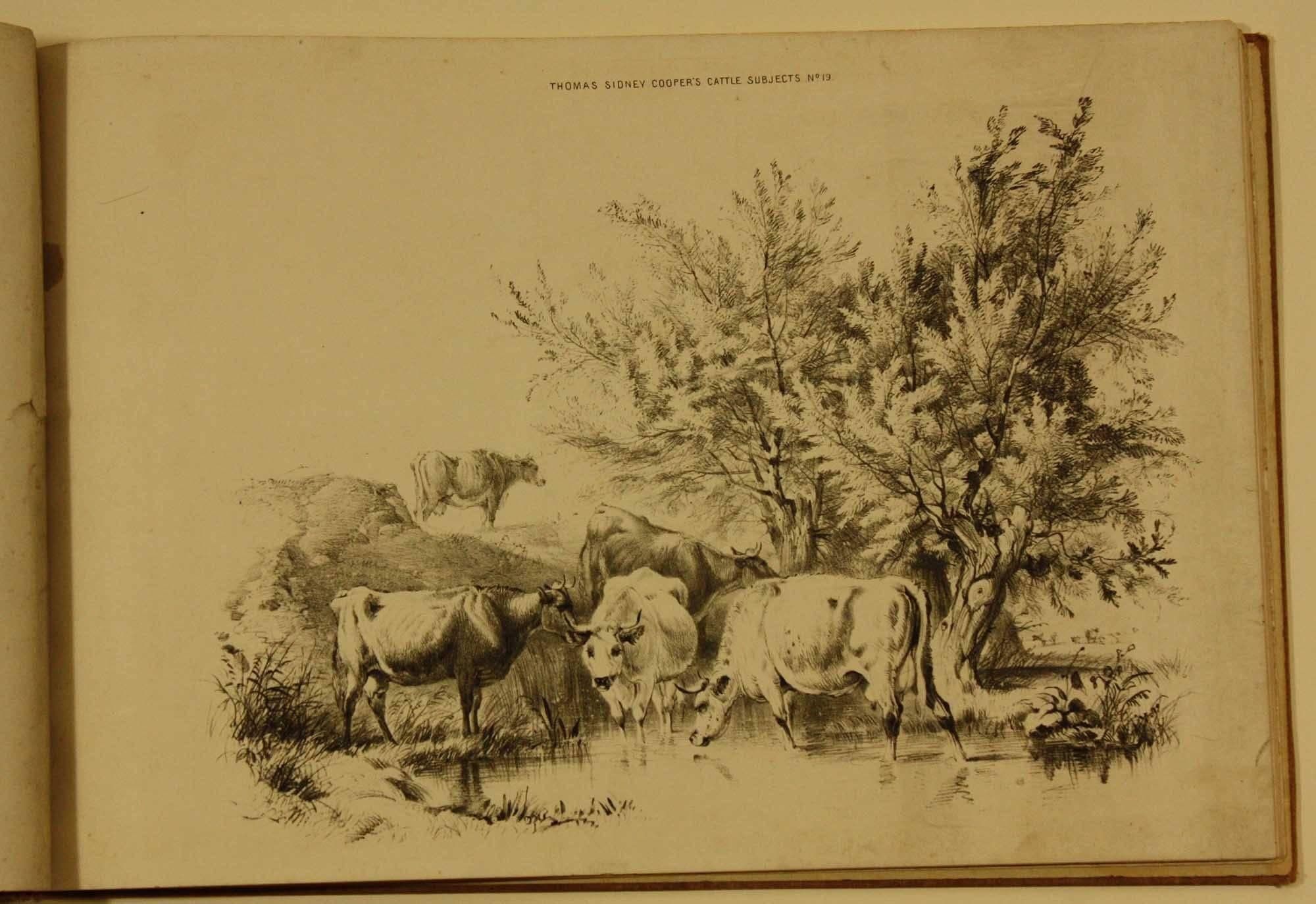 1st Part of Book, Because of the number of pages the only way to list the book is in 3 parts, when you purchase you will get the complete book
COOPER, Thomas Sidney (1803-1902). Groups of Cattle, Drawn from Nature. London: C. Hullmandel for