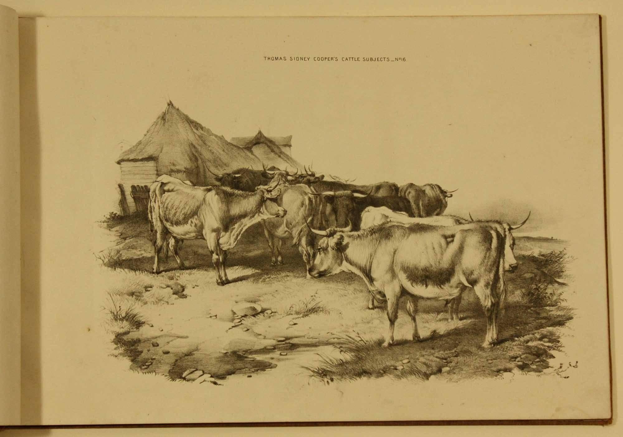 COOPER, Thomas Sidney  Groups of Cattle, Drawn from Nature Book 1839 London For Sale 2