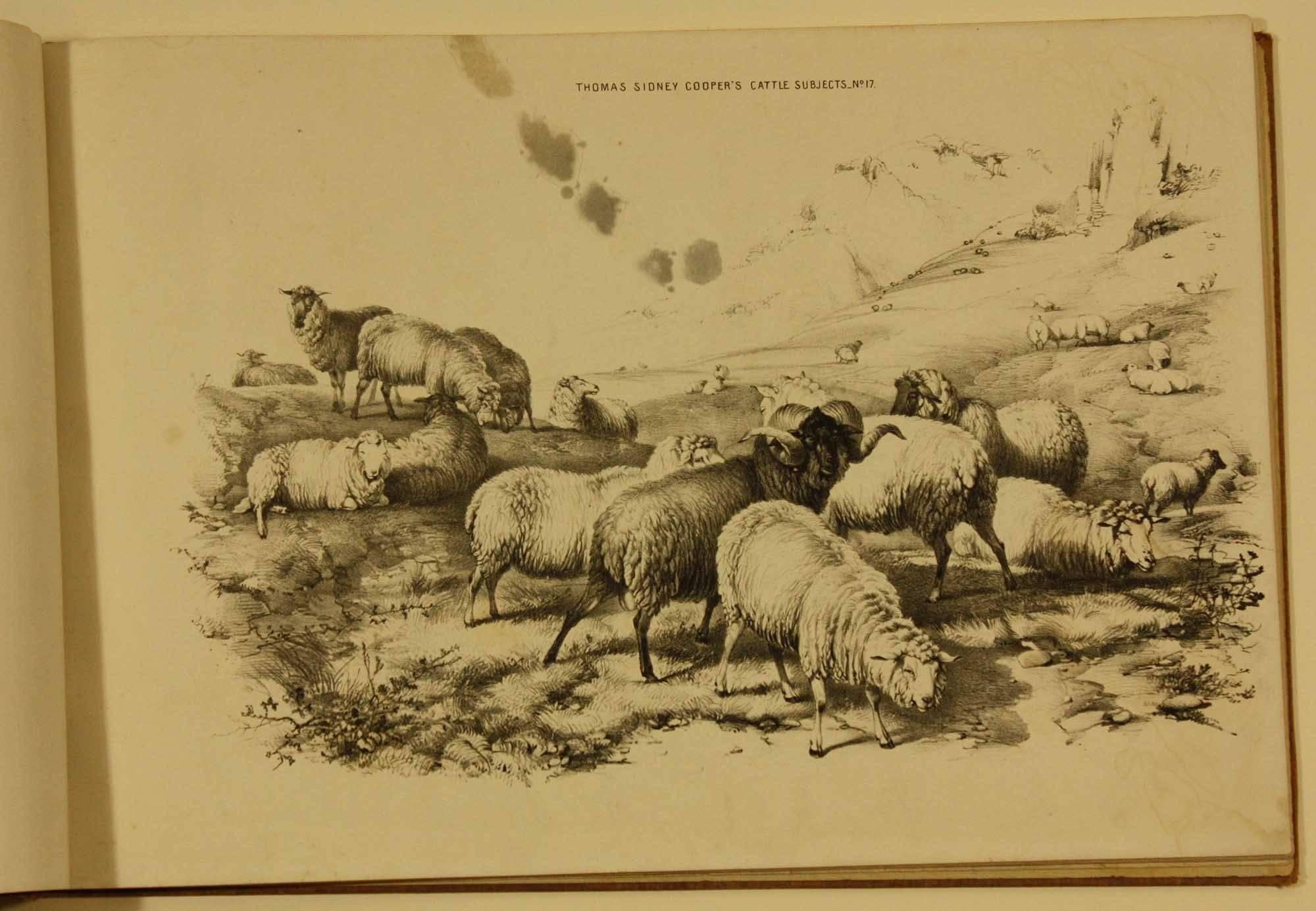 COOPER, Thomas Sidney  Groups of Cattle, Drawn from Nature Book 1839 London For Sale 3