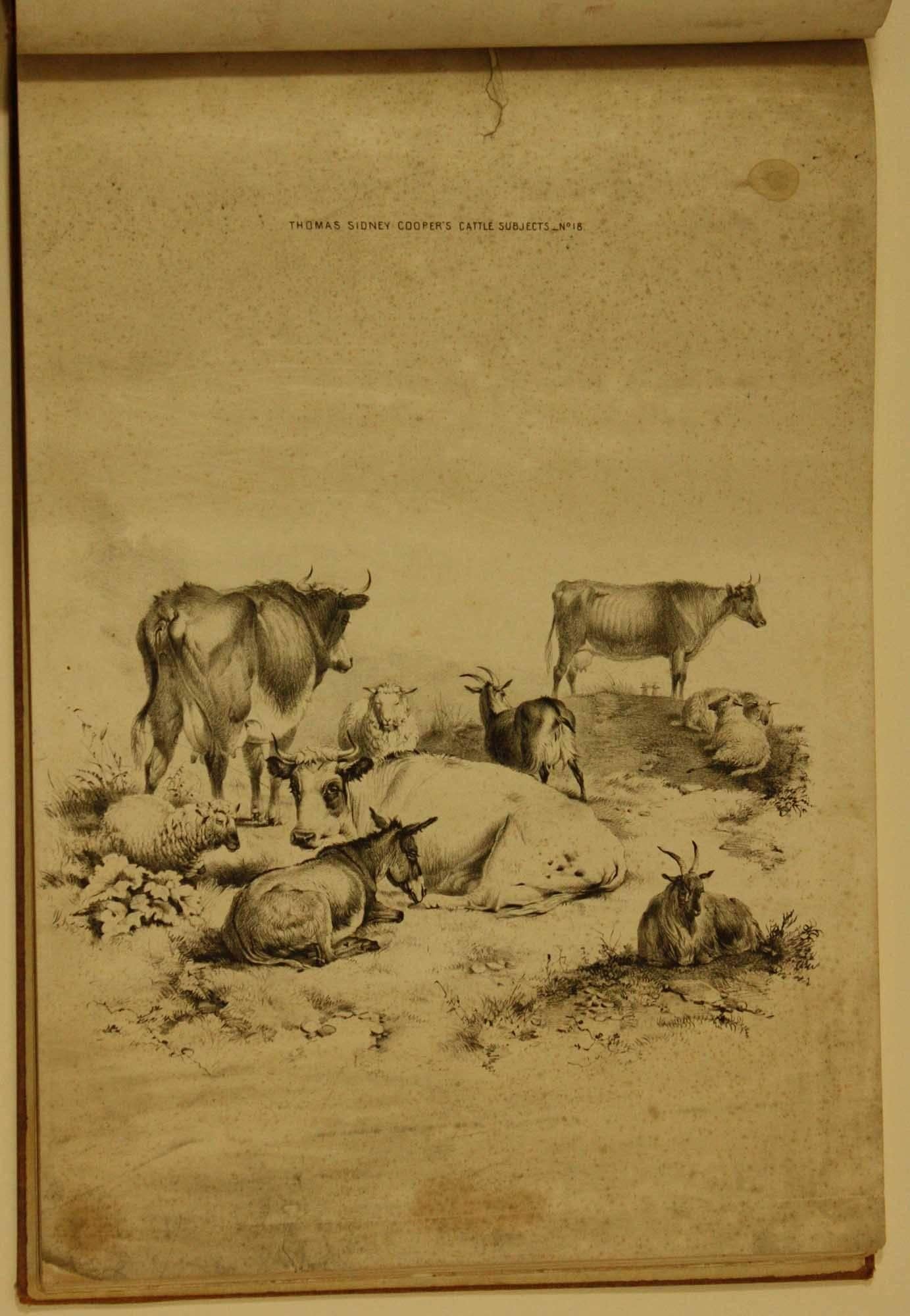 COOPER, Thomas Sidney  Groups of Cattle, Drawn from Nature Book 1839 London For Sale 4