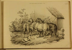 COOPER, Thomas Sidney  Groups of Cattle, Drawn from Nature Book 1839 London