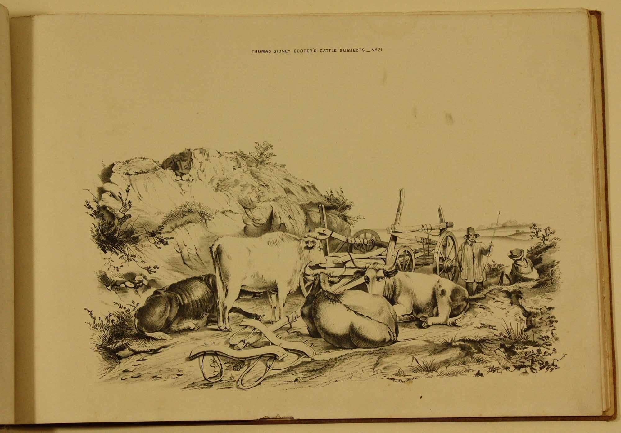 COOPER, Thomas Sidney  Groups of Cattle, Drawn from Nature Book 1839 London - Naturalistic Print by Thomas Sidney Cooper