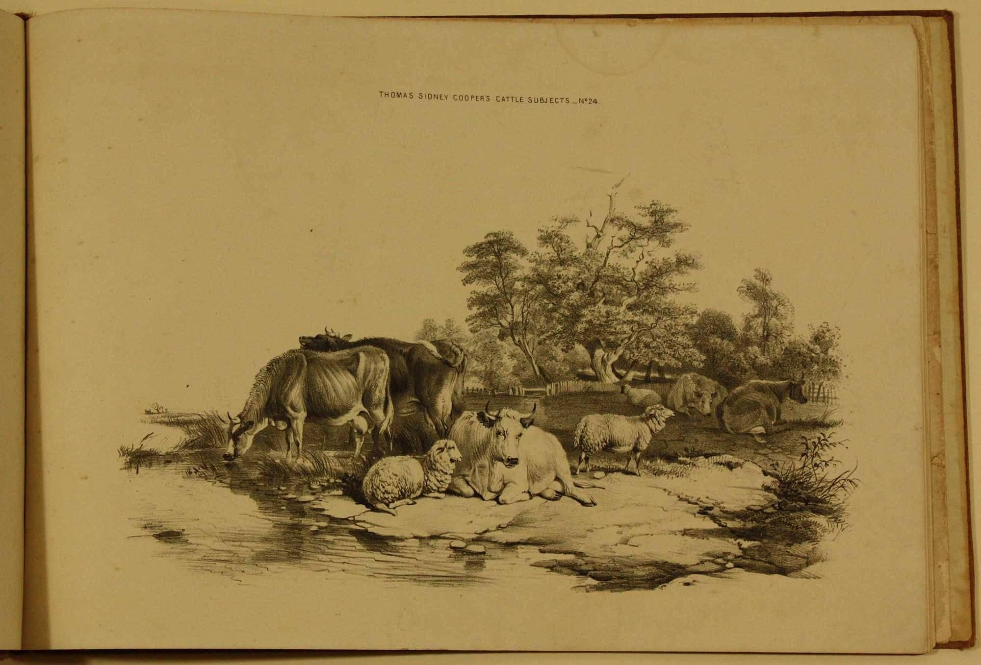 COOPER, Thomas Sidney  Groups of Cattle, Drawn from Nature Book 1839 London For Sale 1