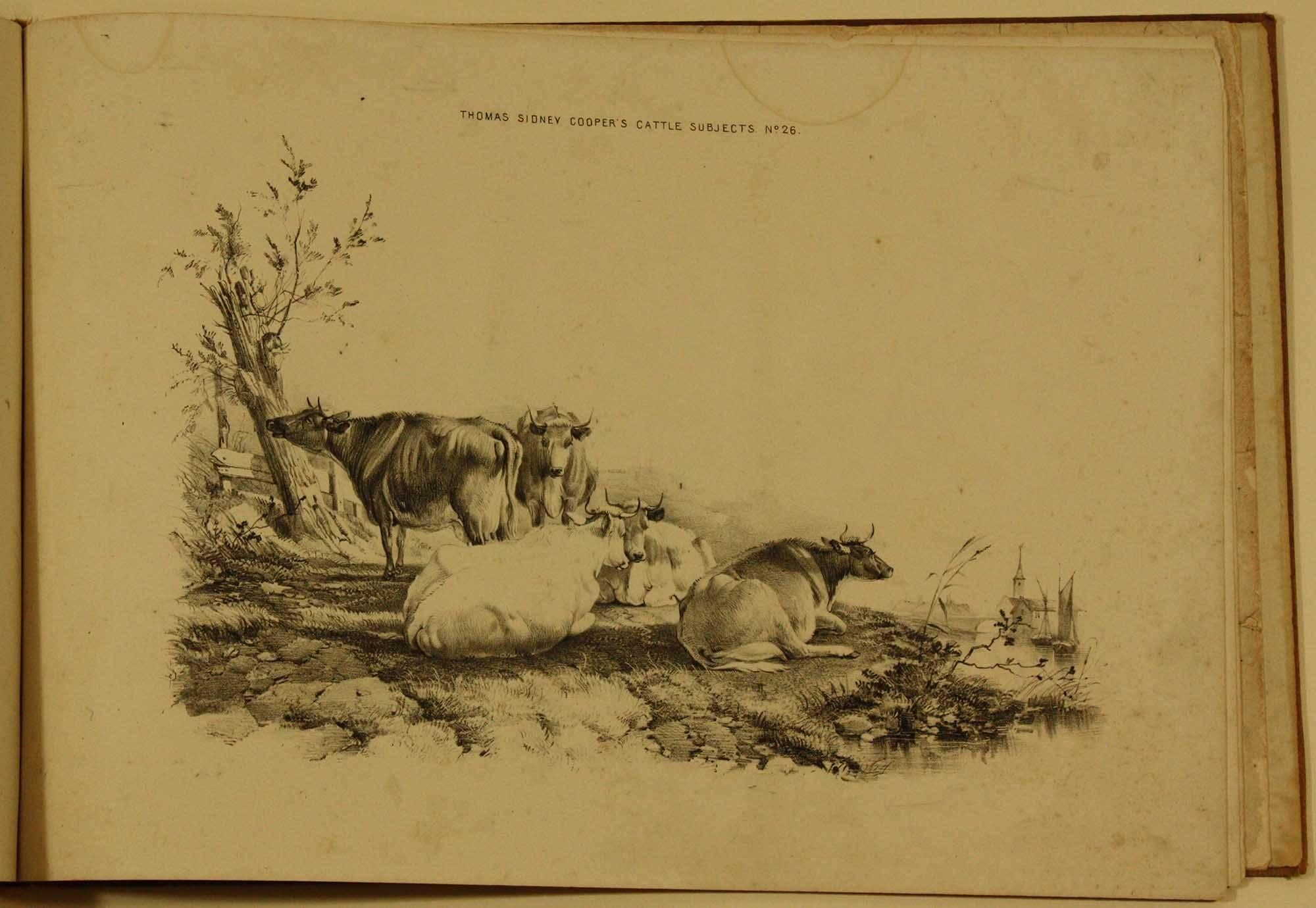 COOPER, Thomas Sidney  Groups of Cattle, Drawn from Nature Book 1839 London For Sale 3